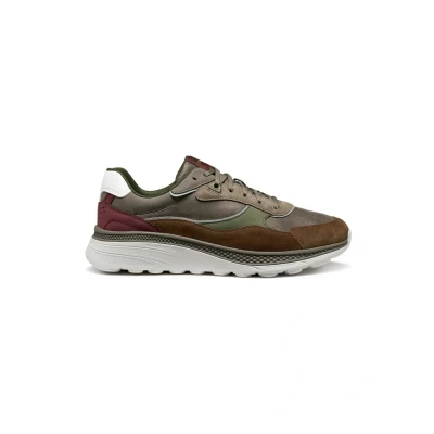 Afbeelding van Geox Sneakers laag, Heren, Maat: 40, Dove grey browncotto Schoenen