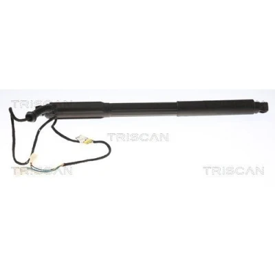 Afbeelding van Gasveer, kofferruimte TRISCAN 8710 11304