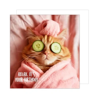 Afbeelding van Edition Seidel GQ127 Hoogwaardige vierkante verjaardagskaart met envelop, GQ150 SW024 verjaardagswenskaart voor mannen en vrouwen grappige kattenmotief