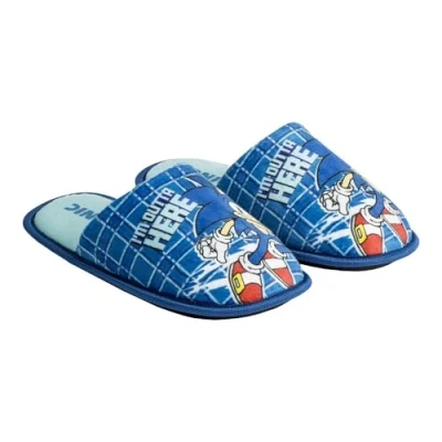 Afbeelding van Sonic the Hedgehog Pantoffels Sloffen