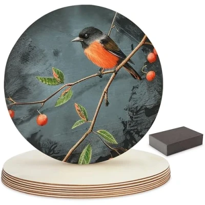 Afbeelding van Belle Vous 8 Pak Houten Onbewerkte Ronde Cirkels &amp; Schuurblok 30cm 3mm Dik Standaard Natuurlijk Blank Schijven CD’s Uitsnedes Voor Hobby, Aankondiging, Huisdecoratie Ornamenten