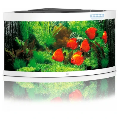 Afbeelding van Juwel Aquarium Trigon 350 Led 87x87x65 cm Aquaria Wit