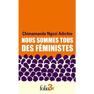 Afbeelding van Nous sommes tous des féministes: Suivi de Le danger l&#039;histoire unique