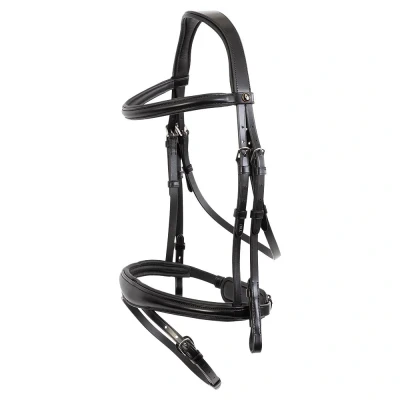 Image de BR Bridle Credition