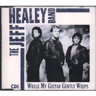 Afbeelding van While My Guitar Gently Weeps