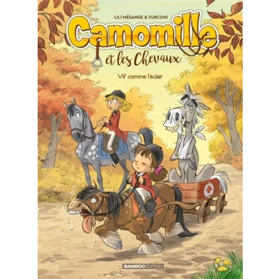 Image de Camomille et les chevaux tome 06