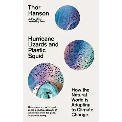 Afbeelding van Hurricane Lizards and Plastic Squid