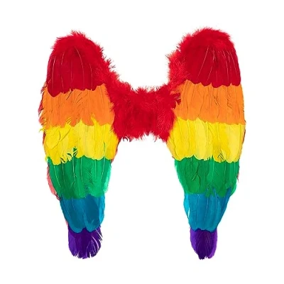 Afbeelding van FUNIDELIA Regenboogvleugels voor vrouwen en mannen
