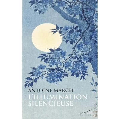 Afbeelding van L&#039;illumination silencieuse