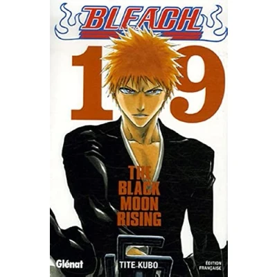Afbeelding van BLEACH Tome 19