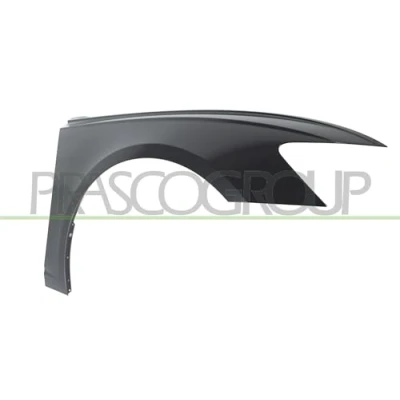 Afbeelding van PRASCO AD0443023 Spatbord Rechts voor Aluminium