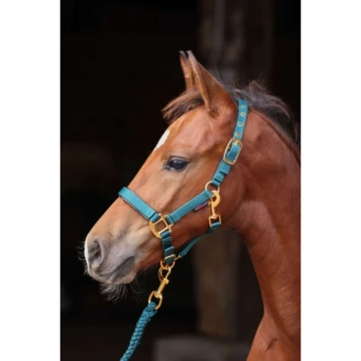 Afbeelding van Covalliero Veulen Halster TopLine Forest