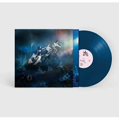 Afbeelding van Walt Disco Unlearning (LP)