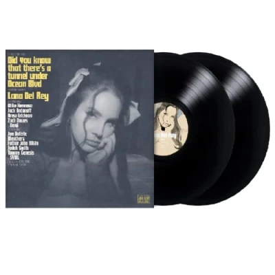 Afbeelding van Lana Del Rey Did You Know That There&#039;s a Tunnel Under Ocean Blvd (2 LPs)