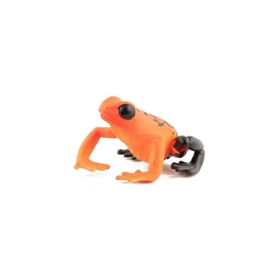 Image de Papo Grenouille équatoriale Rouge LA Vie Sauvage Animaux Figurine, Cartoon, 50193, 50193