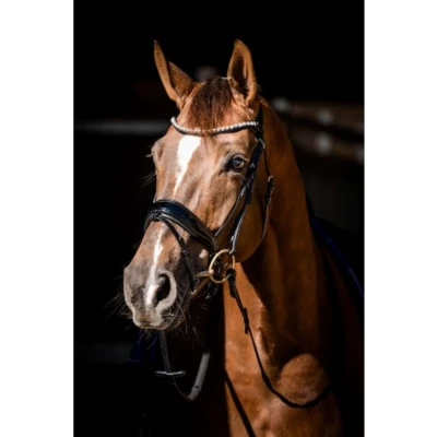 Afbeelding van HB Showtime Hoofdstel Special Guy Zwart Cob