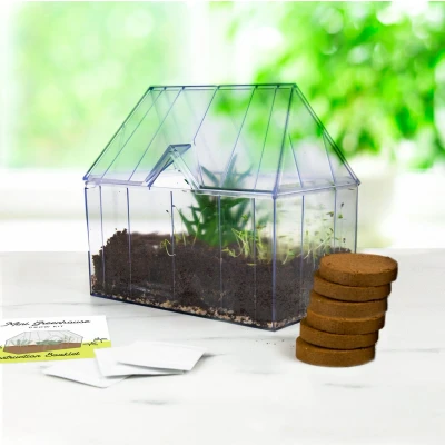 Afbeelding van Gift Republic Green House Grow Kit wordt vertaald naar het Nederlands als &quot;Gift Kweekset...