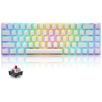 Afbeelding van T8 RGB 60% mechanisch toetsenbord, bekabeld gamingtoetsenbord, compacte lay out 65%, 18 leds Chroma achtergrondverlichting, QWERTY Mini 68 toetsen Full Key Anti ghosting voor PS4, Xbox, PC, MAC