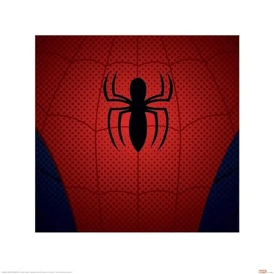 Afbeelding van Pyramid Poster Ultimate Spider man Torso 40 X Cm Multicolor