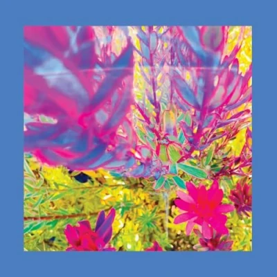Afbeelding van Pinks Reds &amp; Purples The Past Is A Garden I Never Fed (CD)