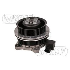 Afbeelding van Graf Waterpomp PA1379