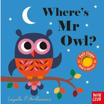 Afbeelding van Where&#039;s Mr Owl?