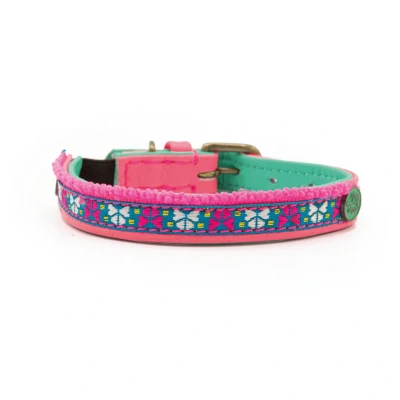 Afbeelding van Dwam Missy Kattenhalsband 22 27x1 cm Multi Color