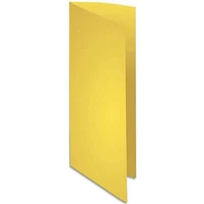 Image de Paquet de 100 chemises forever 100% recycle flash 220