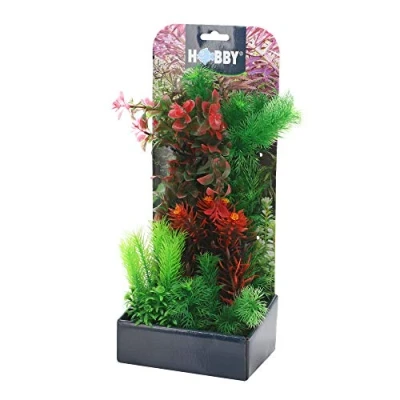 Afbeelding van Plantasy set 3 decoratie planten Smulders