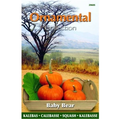 Afbeelding van Ornamental wintersquash baby bear Buzzy