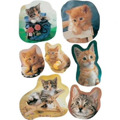 Afbeelding van Huismerk Herma 5747 Etiket Kat Foto Pakje met 3 velletjes stickers