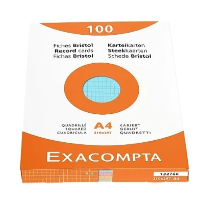Afbeelding van Pak 100 steekkaarten bristol geruit 5x5 niet geperforeerd 210x297mm, Geassorteerd