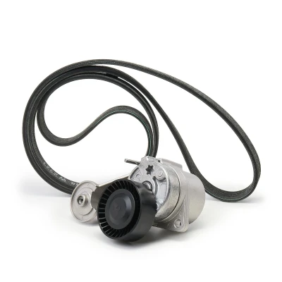 Afbeelding van Poly V riem set INA 529 0480 20