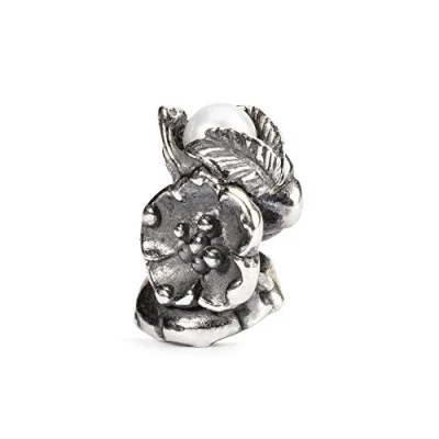 Afbeelding van Trollbeads Meiduindoorn