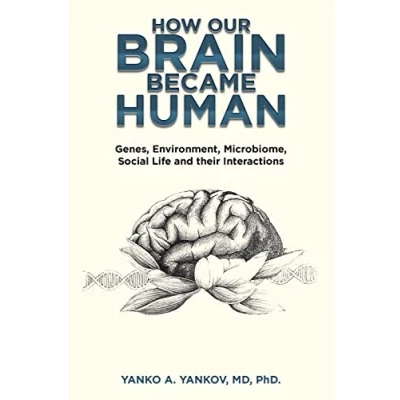 Afbeelding van How Our Brain Became Human