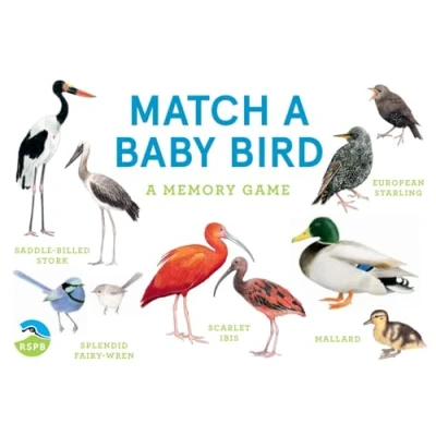 Afbeelding van Match a Baby Bird