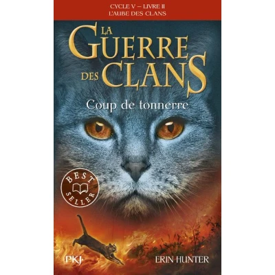 Image de La guerre des Clans Cycle V Tome 2 Coup de tonnerre