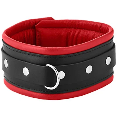 Afbeelding van Brede en gevoerde leren collar met D ring zwart/rood maat S/M