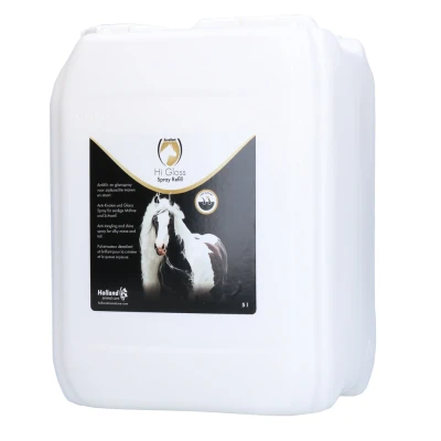 Image de Excellent Recharge Hi Gloss 5L