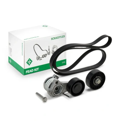 Afbeelding van INA Poly V riemen kit 529 0043 10