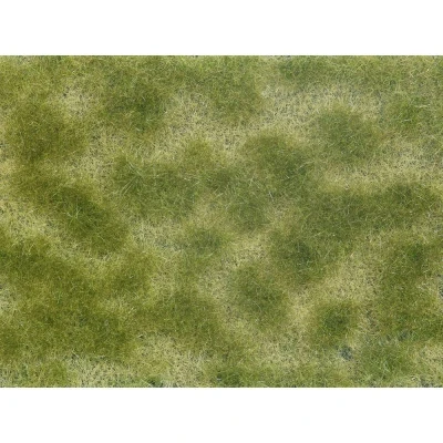 Afbeelding van NOCH 07253 Bodembedekker Landschap bouw Groen, Beige