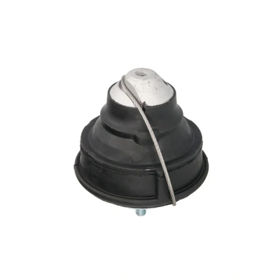 Afbeelding van REINHOCH RH11 4015 Aslichaam / motorsteunlager Onder, Achter Groen VOLVO: S70, V70 I, 850 Estate