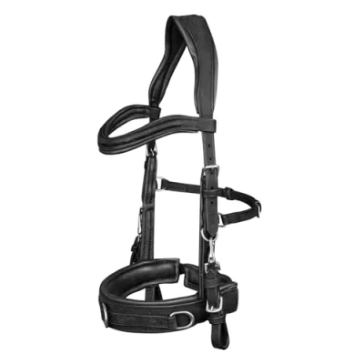 Image de Waldhausen Bridon Caveçon Anatomique Noir Cob
