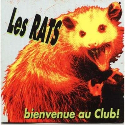 Afbeelding van Bienvenue au Club !