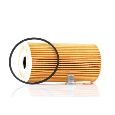 Afbeelding van Bosch Oliefilter F 026 407 206