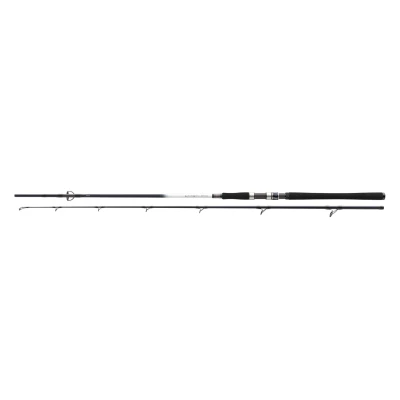 Afbeelding van Daiwa Grandwave Cod Zeevis Hengel 2.40m (150 300g) Boothengel
