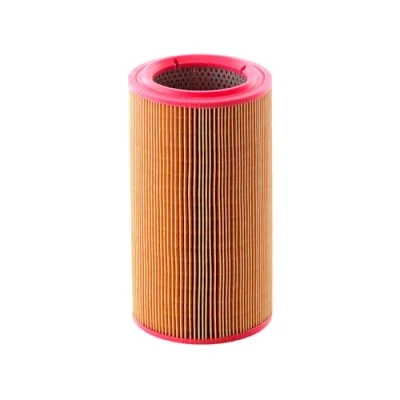Image de Mann Filter C14004 Filtre à Air