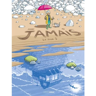 Image de Jamais vol. 02 Histoire complète