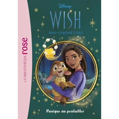 Afbeelding van WISH ASHA ET LA BONNE ETOILE,4