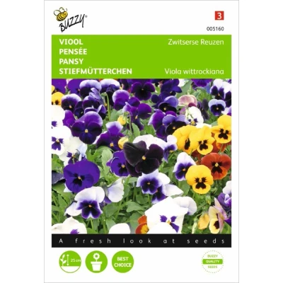 Afbeelding van Viola wittrockiana Zwitserse Reuzen Bloemistenmengsel Buzzy